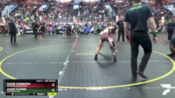 90 lbs Semifinal - Asher Raimer, Grandville WC vs Chase Morrison, Hamilton Hawkeye WC