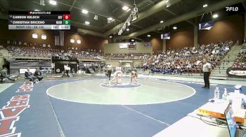 2A 132 lbs Quarterfinal - Christian Briceno, Millard vs Carson Kelsch, Beaver