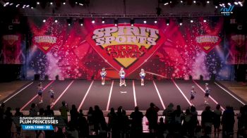 Elevation Cheer Company - Plum Princesses [2025 L1 Mini - D2 Day 1] 2025 Spirit Sports Myrtle Beach Nationals