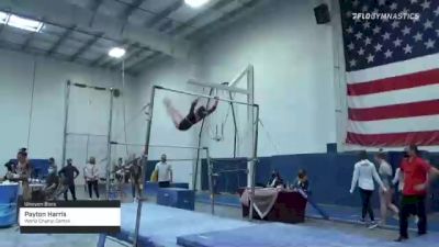 Payton Harris - Bars, World Champ Centre - 2021 Region 3 Women's Championships