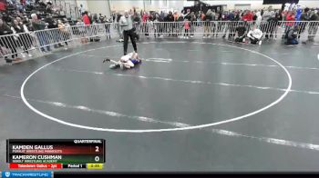 63 lbs Quarterfinal - Kamden Gallus, Pursuit Wrestling Minnesota vs Kameron Cushman, Sebolt Wrestling Academy