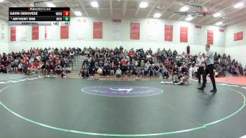 113 lbs Semifinal - Anthony Rini, West Geauga vs Gavin Genovese, Woodridge