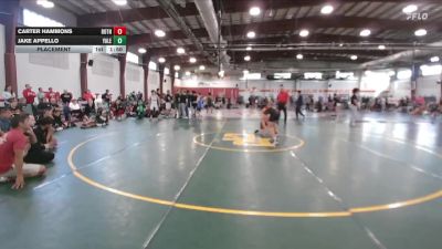 103 lbs Placement - Carter Hammons, Boyertown vs Jake Appello, Yale St