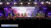 Five Star Athletics - Senior SAVAGE [2025 L4 Senior - D2 - Small Day 2] 2025 WSF Grand Nationals