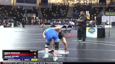 110 lbs Cons. Round 5 - Emilie Gonzalez, Iowa vs Dianna Holmes, King University