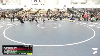 110 lbs Quarterfinal - Aubree Dignean, Proper-ly Trained vs Elliott Graham, Gowanda Wrestling