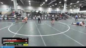 149 lbs Cons. Round 2 - Noah Howk-Erwin, IA vs Gunnar Tamez, OR