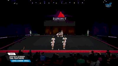 Cheer-riffic Techniques - Tail Feathers [2025 L2 Junior - Small Semis] 2025 The D2 Summit