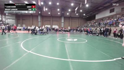 132 lbs Champ. Round 1 - Cade Dunn, Liberty vs Brady Larson, Harrah
