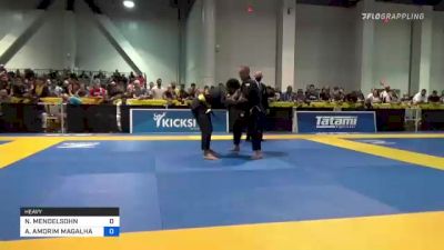 NATHAN MENDELSOHN vs ABRAAO AMORIM MAGALHAES 2021 World Master IBJJF Jiu-Jitsu Championship