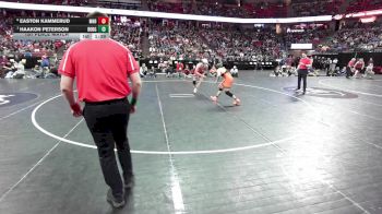 165 lbs 1st Place Match - Haakon Peterson, Dodgeville vs Easton Kammerud, Mount Horeb/Barneveld