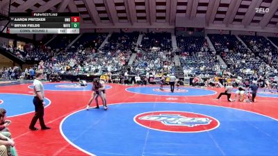 4A-175 lbs Cons. Round 2 - Bryan Fields, Wayne County HS vs Aaron Pritzker, Benedictine Military School
