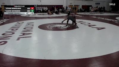 197 lbs Champ. Round 1 - Ethan Winkelman, Augsburg vs Dante Novembre, Concordia Moorhead
