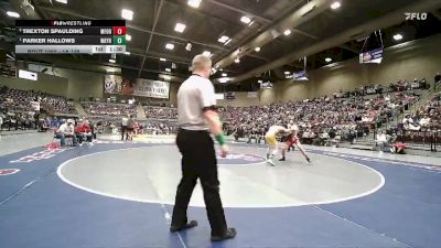 1A 138 lbs Semifinal - Parker Hallows, Wayne vs Trexton Spaulding, Milford