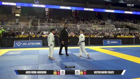 Heston Wayne Fugate vs Aiden Wong Anderson 2025 Pan Kids Jiu-Jitsu IBJJF Championship
