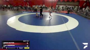132 lbs Semifinal - Amryn Nutter, WI vs Liam Anderson, MN