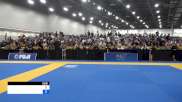 ASHUR DARMO vs NICCOLO MENCHET 2024 World Masters IBJJF Jiu-Jitsu Championship