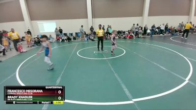 67 lbs Quarterfinal - Francesco Mesorana, Cypress Wrestling Club vs Brady Knadler, NB Elite Wrestling Club