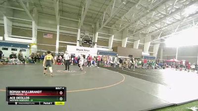 117 lbs Round 2 (4 Team) - Roman Wullbrandt, Team Oregon vs Ace Deollos, Western Nebraska