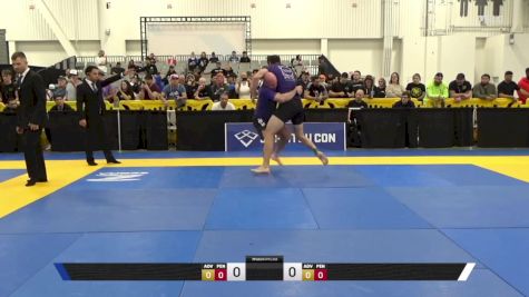 Aaron Robert Geiger vs Andrew Douglas Wray 2025 World IBJJF Jiu-Jitsu No-Gi Championship