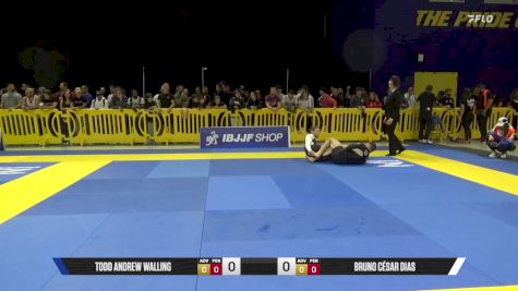 Bruno César Dias vs Todd Andrew Walling 2025 Pan IBJJF Jiu-Jitsu No-Gi Championship