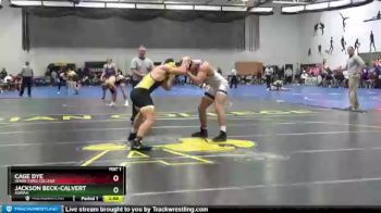197 lbs Champ. Round 1 - Cage Dye, Henry Ford College vs Jackson Beck-Calvert, Adrian