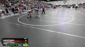 215 lbs Champ. Round 2 - Connor Thomas, Peshtigo vs Luke Dettmann, Wisconsin Lutheran