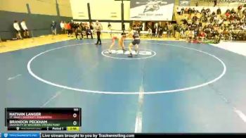 165 lbs Champ. Round 1 - Brandon Peckham, University Of Wisconsin-Stevens Point vs Nathan Langer, St. John`s University (Minnesota)