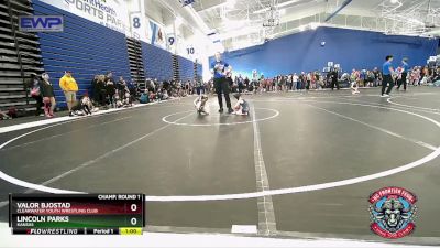 43 lbs Champ. Round 1 - Valor Bjostad, Clearwater Youth Wrestling Club vs Lincoln Parks, Kansas