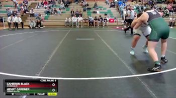 285 lbs Cons. Round 3 - Cameron Black, Salesianum vs Henry Gardner, Tower Hill Hs