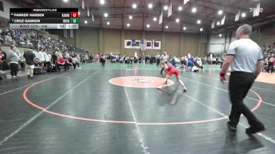 106 lbs 1st Place Match - Parker Hansen, Ozark vs Cruz Gannon, Dowling Catholic