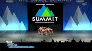 DanceWorks - Junior Jazz [2025 Junior - Contemporary/Lyrical - Small Semis] 2025 The Dance Summit
