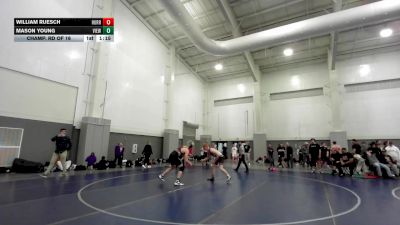 165 lbs Champ. Rd Of 16 - William Ruesch, Hurricane vs Mason Young, Viewmont