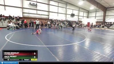 52 lbs Quarterfinal - Ryder Brindley, Elite Wrestling vs Mack Probst, Wasatch