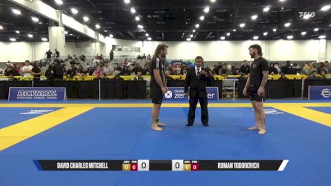 Roman Todorovich vs David Charles Mitchell 2025 World IBJJF Jiu-Jitsu No-Gi Championship