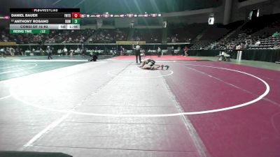 133 lbs Consi Of 16 #2 - Daniel Bauer, Fontbonne vs Anthony Rosano, Rowan