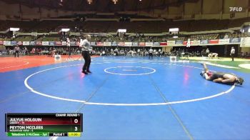 132 lbs Champ Round 1 (16 Team) - Peyton McClees, Mountain View vs Julyus Holguin, Liberty
