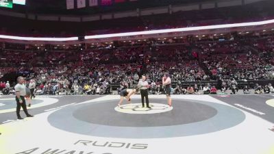 215 lbs 1st Place Match - Eian Englehart, Avon vs Aiden Peterson, St. Edward