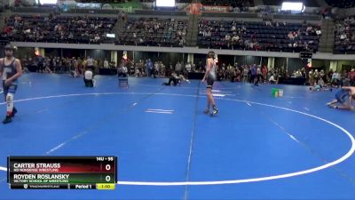 95 lbs Quarterfinal - Royden Roslansky, Victory School Of Wrestling vs Carter Strauss, No Nonsense Wrestling