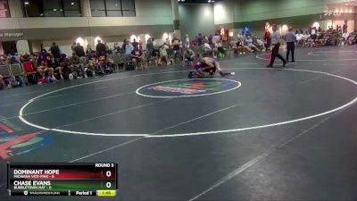 113 lbs Round 3 (16 Team) - Dominant Hope, Michiana Vice-Pink vs Chase Evans, Bubbletown Mat