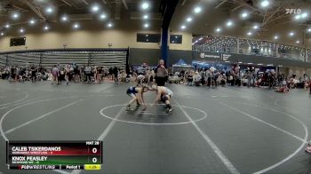 76 lbs Round 1 (4 Team) - Caleb Tsikerdanos, Warhawks Wrestling vs Knox Peasley, Richmond WC