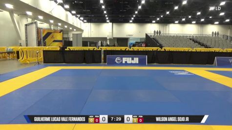 Wilson Angel Sojo Jr vs Guilherme Lucas Vale Fernandes 2025 World IBJJF Jiu-Jitsu No-Gi Championship