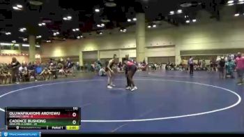 132 lbs Round 6 (10 Team) - Cadence Bushong, Iowa Pin-A-Sarus vs Oluwafikayomi Aroyewun, Suncoast Gems