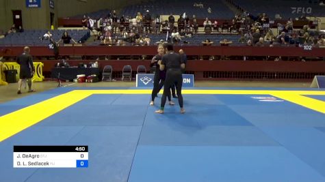 Joan DeAgro vs Darla L. Sedlacek 2024 Pan IBJJF Jiu-Jitsu No-Gi Championship