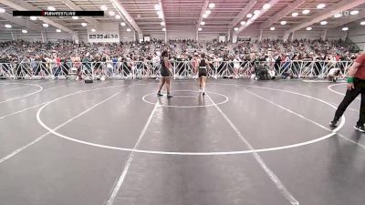 138 lbs Quarterfinal - Christina Borgmann, FL vs Charisma Lawrence, IN