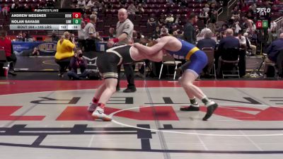 145 lbs Consi 2 - Andrew Messner, Berks Catholic vs Nolan Savage, Line Mountain