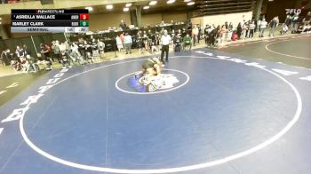 235 lbs Semifinal - Asreilla Wallace, Unattached vs Marley Clark, Unattached