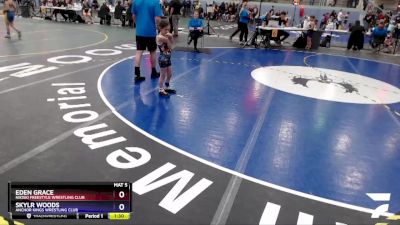 45 lbs Rr2 - Skylr Woods, Anchor Kings Wrestling Club vs Eden Grace, Nikiski Freestyle Wrestling Club