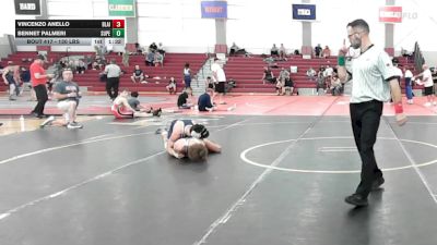 130 lbs Quarterfinal - Vincenzo Anello, Blair Academy vs Bennet Palmeri, Superior Wrestling Academy