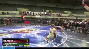 126 lbs Finals (8 Team) - Sam Hornyak, Waverly - Shell Rock vs Tyler Laudenbach, Apple Valley